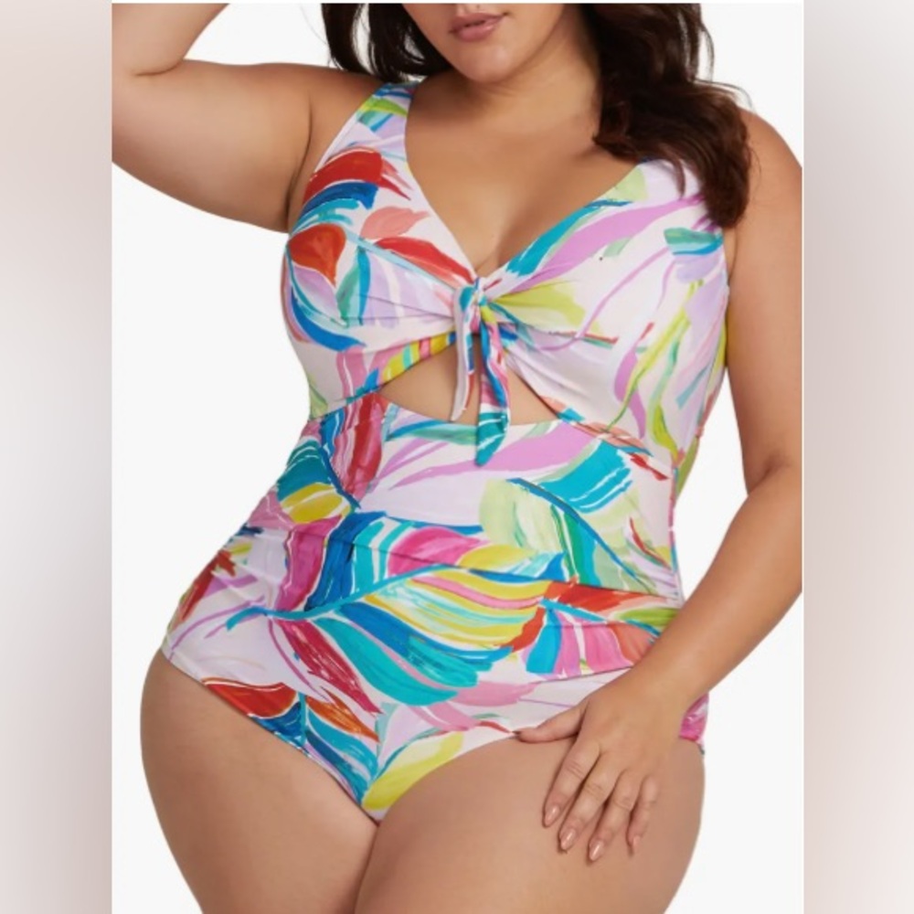 NWOT Artesands Cezanne D/DD Cup Underwire One Piece Swimsuit US 14
